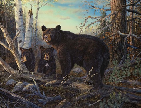 Framed Absolutely Wild Print