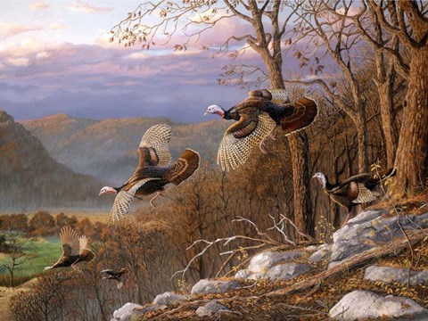 Framed Enchanted Valley Print