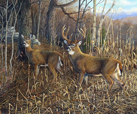 Framed Heading For Cover Print