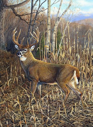 Framed Heading For Cover 2 Print