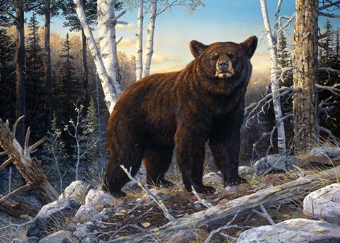 Framed Intimidator Print