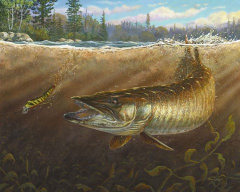 Framed Lucky Cast Print