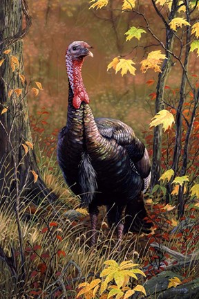 Framed Mister Majestic Print