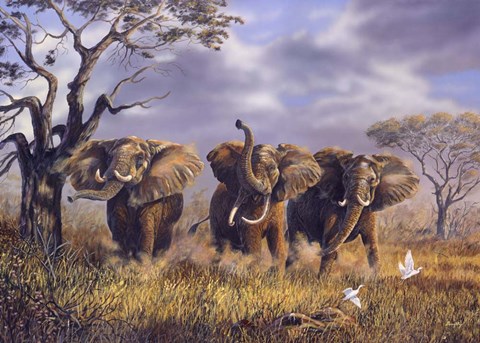 Framed On African Winds Print