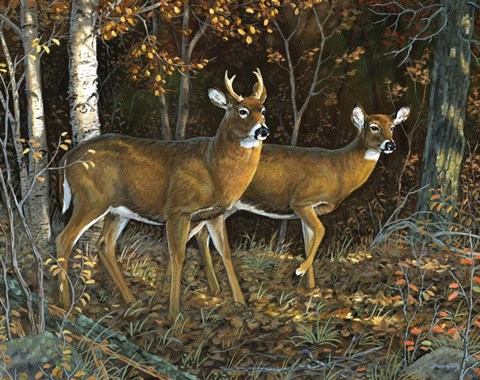 Framed October Shadows Print