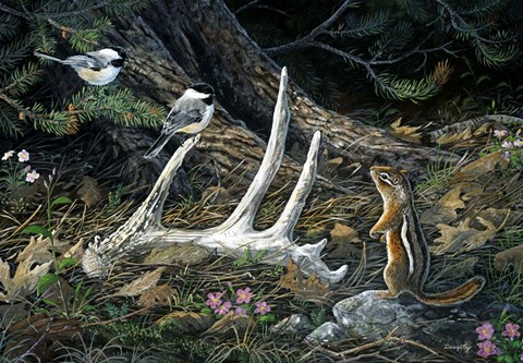 Framed Woodland Treasures Print