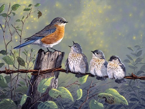 Framed Blue Crew Print