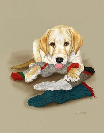 Framed Sock Bandit Print