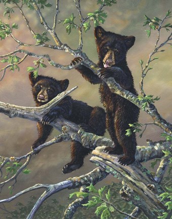 Framed Out On A Limb Print