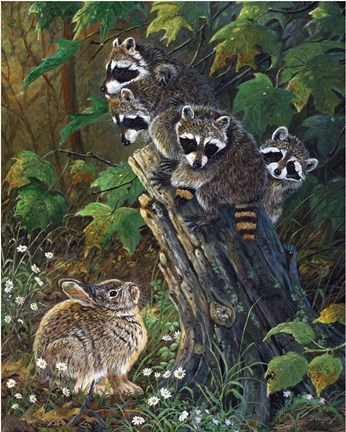 Framed No Room At The Top Print