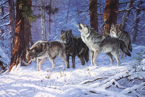 Framed Haunters Of The Silences Print