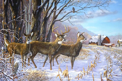 Framed King &amp; His Court Print