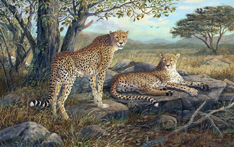 Framed Savanna Retreat Print