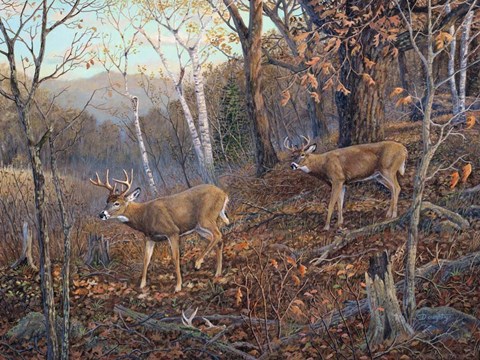 Framed Follow The Leader Print