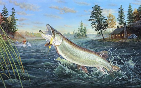 Framed Old Knucklebuster Print