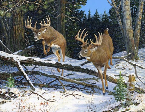 Framed Broken Silence Print