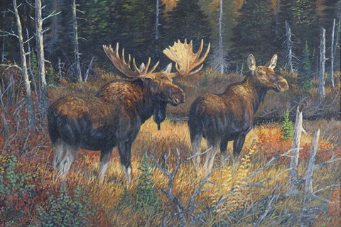 Framed Distant Call Print