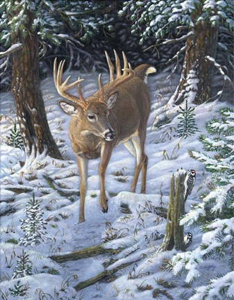 Framed Winter Encounter Print