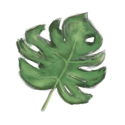 Framed Leaves of the Tropics II Print