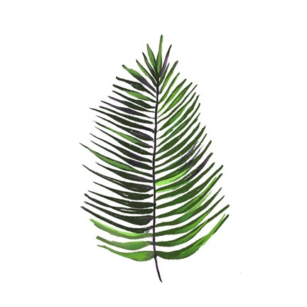 Framed Leaves of the Tropics IV Print