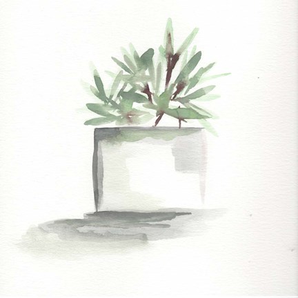 Framed Watercolor Cactus Still Life IV Print