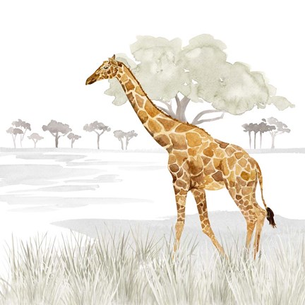 Framed Serengeti Giraffe Square Print