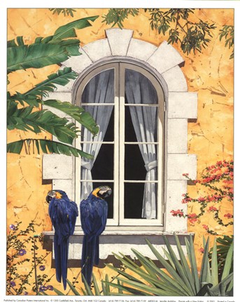Framed Parrots with a View II Print