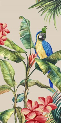 Framed Tropicano II Print