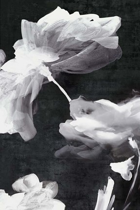 Framed Dark Beauty II Print