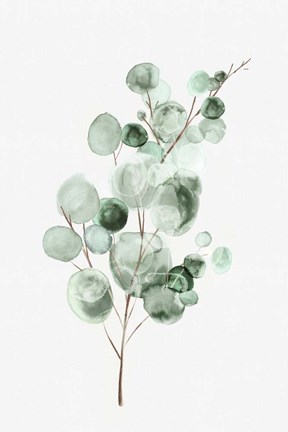 Framed Tender Sprout II Print