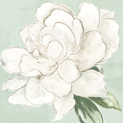 Framed Garden Princess Print