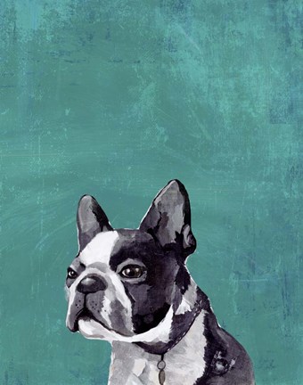 Framed Frenchie Puppy Print