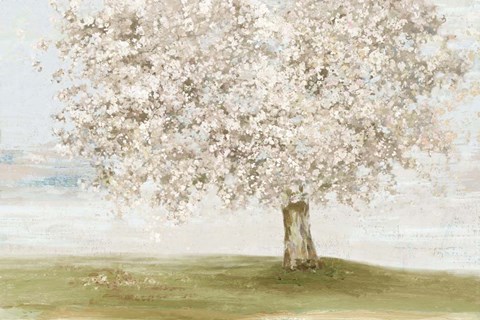 Framed Language of Nature Print