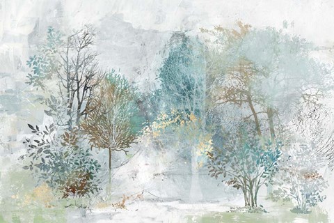 Framed Mysterious Forest Print