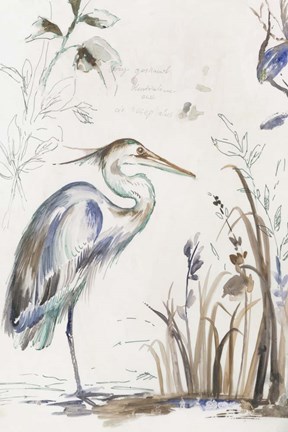 Framed Sunset Echo Print