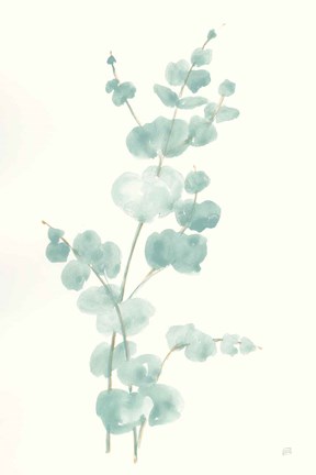 Framed Eucalyptus Branch II Print