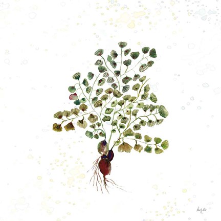 Framed Botticelli Plants II Print