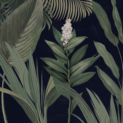 Framed Dramatic Tropical I Light Print