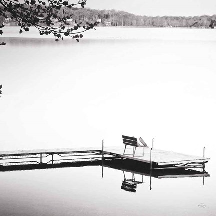 Framed Pale Spring Morning BW Crop Print