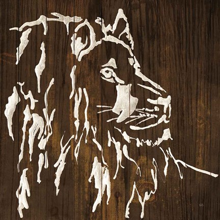 Framed White Lion on Dark Wood Print