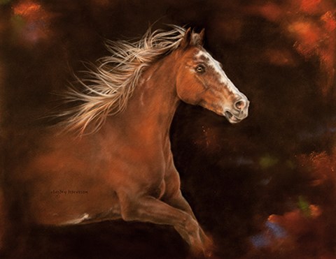 Framed Cheyenne Print