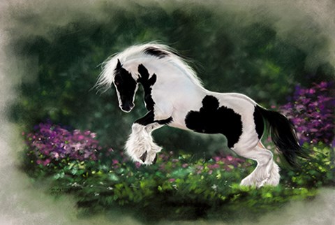 Framed Gypsy Nomad Print