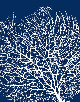 Framed Navy Coral I Print