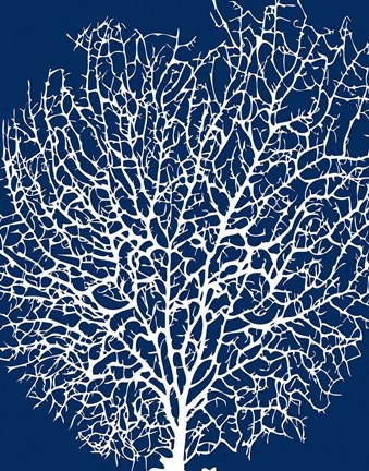 Framed Navy Coral II Print