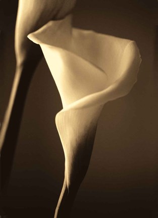 Framed Divinity II Print