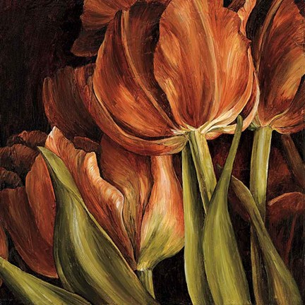 Framed Color Harmony I Print