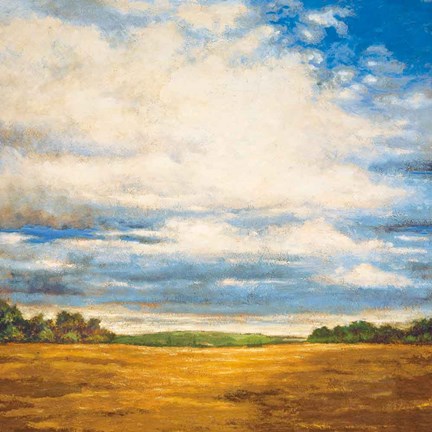 Framed Tranquil Meadow Print