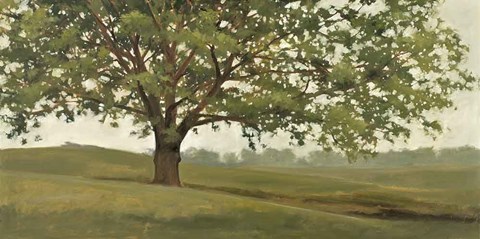 Framed Wisdom Grows Print