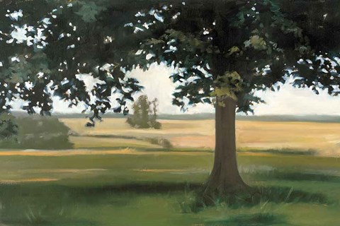 Framed Hidden Pasture Print