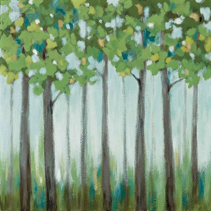 Framed Tranquil View II Print